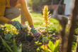 Close up image of senior woman gardening in her yard. She is using rake while planting a flower.	