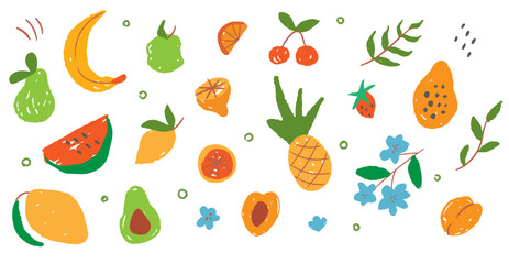 Wall Mural - set of abstract textured exotic fruit. drawing leaf and citrous. modern exotic jungle plant illustra