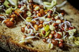Fototapeta  - Mixed microgreens with cotyledons and roots on bread. A set of vitamins. Soft selective focus. Artificially created grain for the picture.
