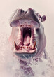 A close-up of a hippopotamus with its mouth wide open, displaying its large teeth and pink interior, set against a light background with water splashes.
