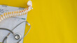 close up top view on human skeleton at lower back  with appointments calendar and stethoscope on yellow background for treatment checkup and healthcare concept