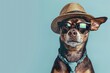 Dog wearing hat and tie isolated on light blue background.