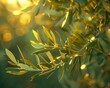 Show the gentle glow of sunlight filtering through the leaves of an olive tree