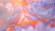 Soft-Focus Close-up of Silky Floral Petals