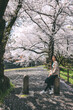 Traveler asian woman travel in sakura cherry blossom  tree in Negawa Green Road Tachikawa Tokyo Japan in spring season