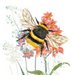 Beautiful print with realistic vector bumblebee and field plants