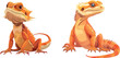 Tropical reptile. Cartoon zoo character, wild orange bearded dragon