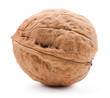 A detailed walnut, white background, isolated
