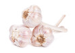 Three garlic bulbs isolated on a white background