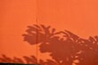 A shadow of a leaf is cast on an orange wall