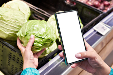 Wall Mural - Cabbage vegetable in hand and smartphone isolated white