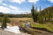 Stream of water among the meadow grass in the Lassen Volcanic National Park in California, USA, in springtime