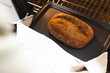 Hands wearing oven mitts taking out freshly baked bread from oven at home with copy space