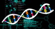 Image of data processing over dna strand on black background