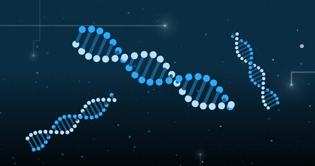 Poster - Image of light trails over dna strand on black background