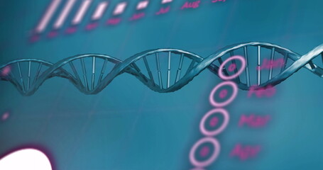 Poster - Image of data processing over dna strand on blue background