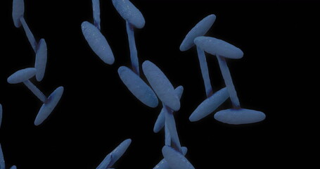Poster - Image of data processing over dna strand on black background