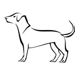 Wall Mural - Modern, abstract, simple, vector line art, stick figure dog with wagging tail, smooth shape, on a white background 