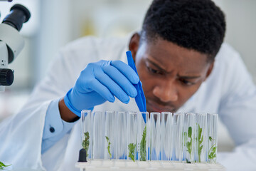 Aufkleber - Science, cannabis and black man with test tube in lab for medical experiment, innovation or development. Scientist, investigation and sample with analysis for healthcare, knowledge and benefits