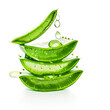 Aloe vera leaves slices stacke with water drops isolated on white background