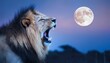 portrait of a lion lion, animal,  mane, wild, wildlife, zoo, king, nature moon