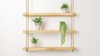 Minimalist wooden shelves with potted plants on a white wall