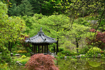 Wall Mural - the ponds and pavilions of the Garden of Morning Calm