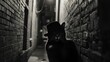 black and white photograph of cat sitting on sidewalk in alley way