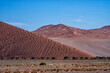 Landscape of the red sand dunes of Sossusvlei in the Namib Nauklft National Park in Namibia
