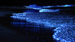 Bioluminescent glowing beach and sea at night. Illumination of plankton at Maldives. Romantic and beautiful landscape. Tropical paradise background. Travel and vacation concept