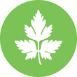 Parsley logo. Isolated parsley on white background