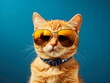 © gamesandroid94 - fun cat with sunglasses blue background generative Ai