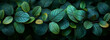Green tropical foliage, background concept.