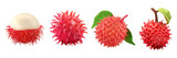 PNG rambutan 3d icons and objects collection, in cartoon style minimal on transparent, white background, isolate