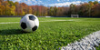 A soccer ball rests atop a vibrant green soccer field, ready for play or practice on the pitch.