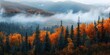 Autumn landscape of forest in Alaska in the morning