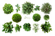 © muhamad - Set of green bush plant isolated on white or transparent background png cutout