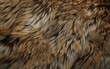 A close up of a furry animal's coat
