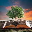 Roots of Knowledge: A Tree Growing from the Pages