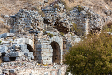 Wall Mural - Ruined arches and walls in Ephesus, remnants of an ancient civilization, in natural daylight. Selcuk, Izmir, Turkey (Turkiye)