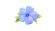 Periwinkle Flower in Full Bloom with Delicate Petals Exuding Elegance and Grace