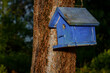 Stock photo of a blue birdhouse on a tree