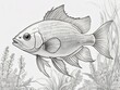 dibujo de pez en blanco y negro