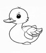 Cute duck, black lines, coloring page template, illustration.
