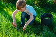 Boy cutting lawn in the garden with scissors on a summer day