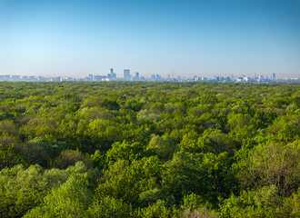 Wall Mural - Bucharest from above. Aerial landscape of north part of Bucharest, view from Baneasa Forest with green trees in foreground. Unique perspective of Bucharest, capital of Romania.