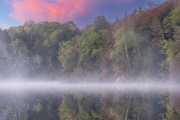 Wall Mural - Foggy spring landscape at dawn of Pete's Lake with mirrored reflections in calm water, Hiawatha National Forest, Michigan's Upper Peninsula, USA