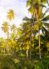 Wall Mural - Pineapple plantation, coconut palms and bright blue sky. Vertical photo.