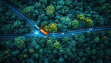 Fototapeta Sport - Aerial view car moving road in forest. Drone scenic journey vehicle driving highway green pine ecosystem. Nature and motion transport in rural australia.