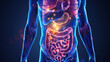 Gastrointestinal System Illustration: An In-Depth Look at the Digestive Tract, Nutrition, Disease, and Wellness